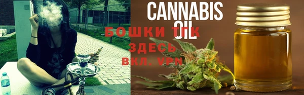 ешки Михайлов