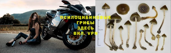 мдпв Михайловка