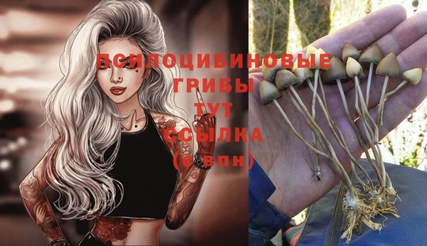 ешки Михайлов