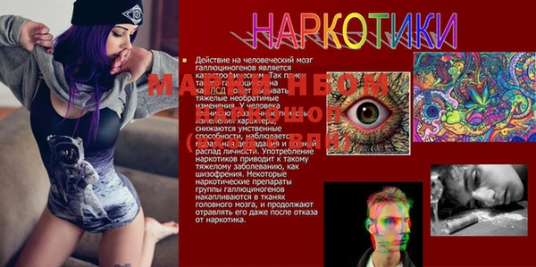 мдпв Михайловка