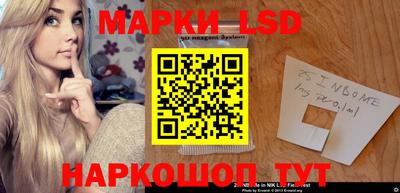 молекула духа Кингисепп