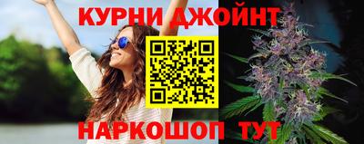 гашик Кинель