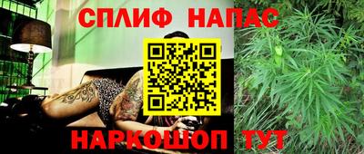 амф Кимры