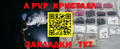 гашик Кинель