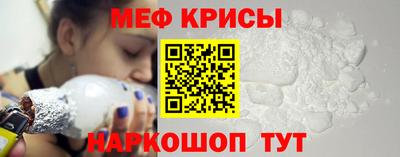 молекула духа Кингисепп