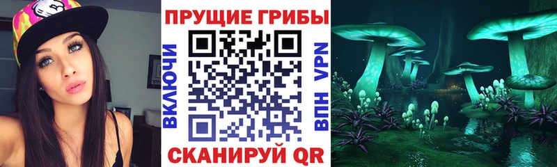 Галлюциногенные грибы MAGIC MUSHROOMS  Павлово 