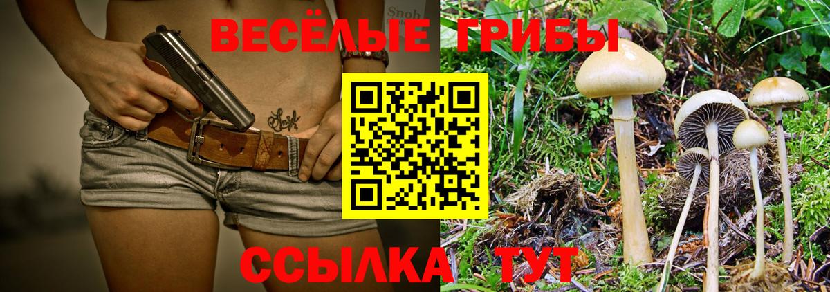 Галлюциногенные грибы Magic Shrooms Павлово