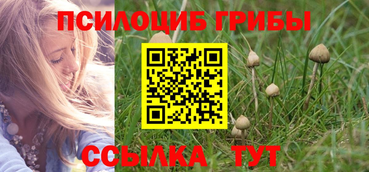 закладки  Галлюциногенные грибы Magic Shrooms  Вход с VPN  Павлово  Галлюциногенные грибы Psilocybe 